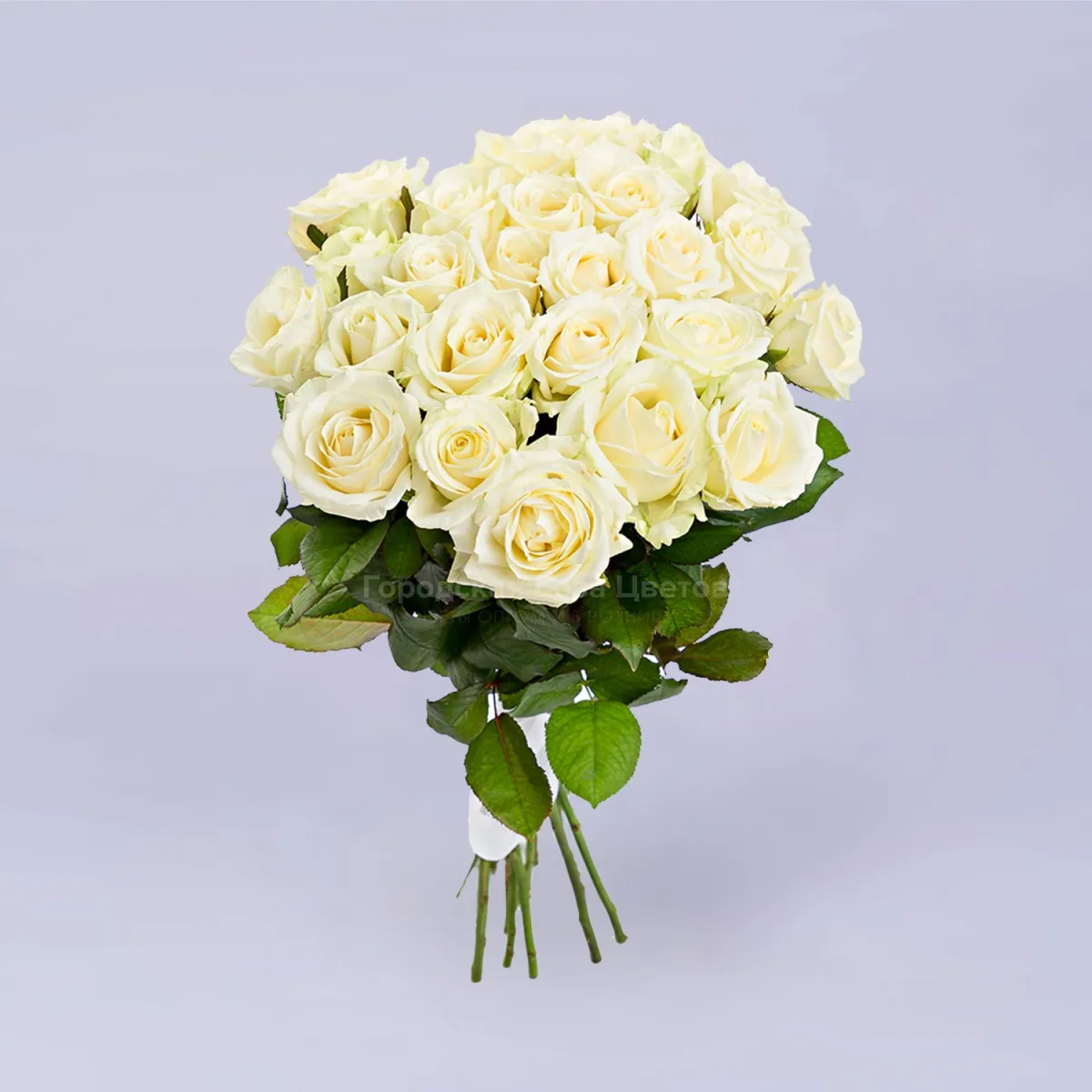 39 белых роз (70 см)
