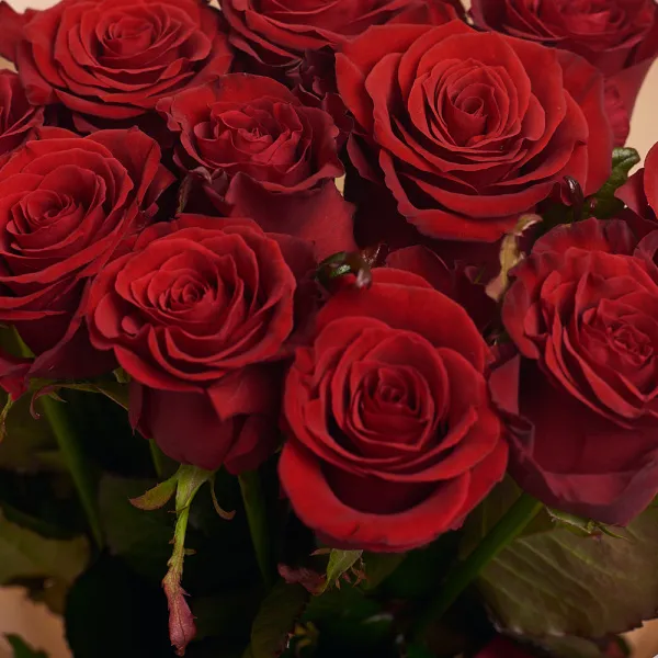 Букет из 11 темно-красных роз (60 см)