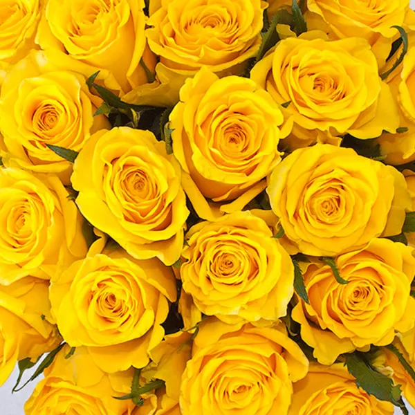 43 желтые розы (35 см)