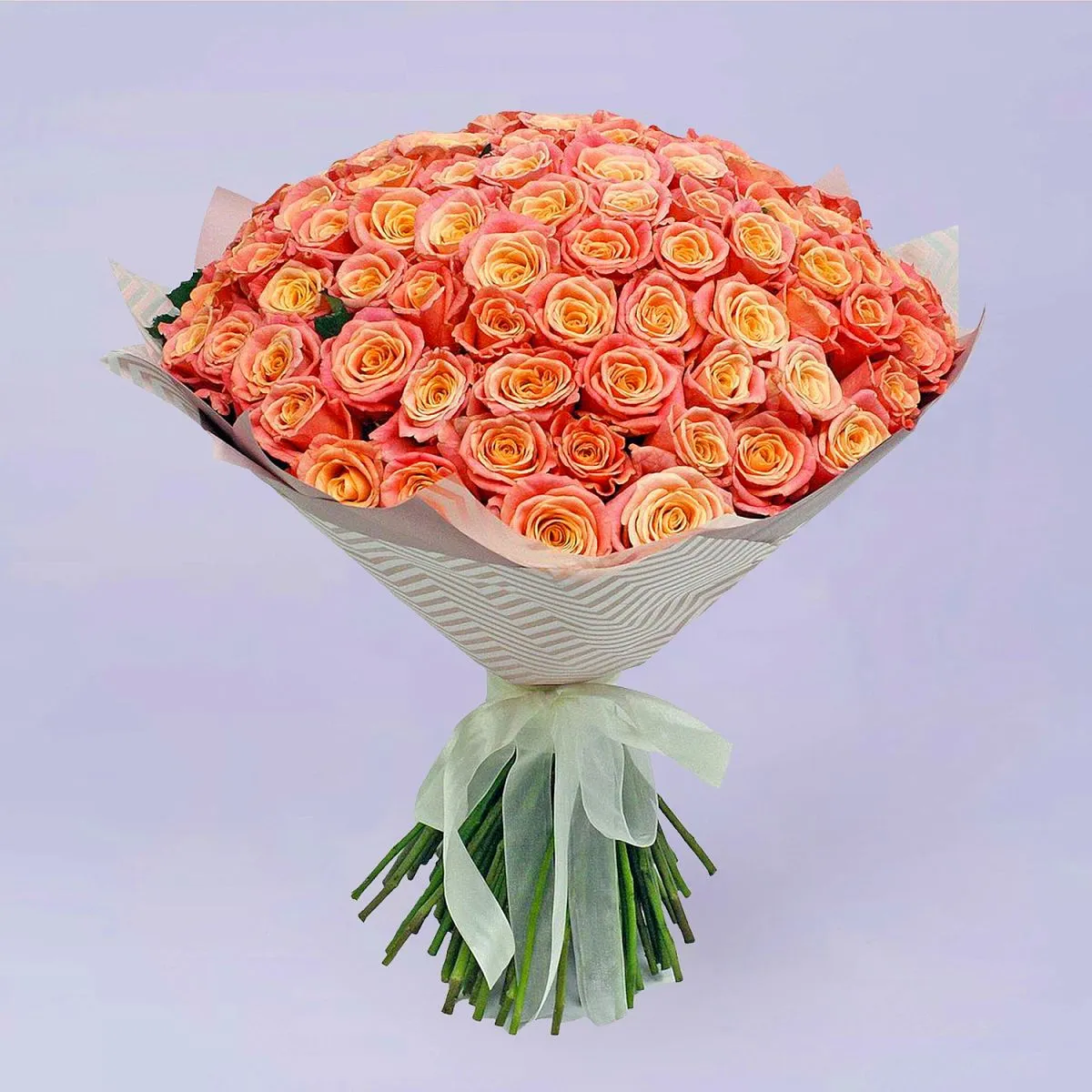 111 оранжевых роз (50 см)
