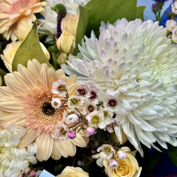 Букет из гербер, вероник и астер огромный
