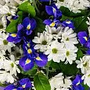 Букет из ирисов и хризантем