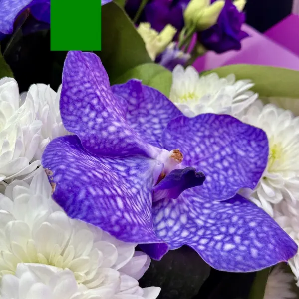 Букет орхидей ванда, эустом и хризантем