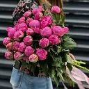 23 розовых пиона