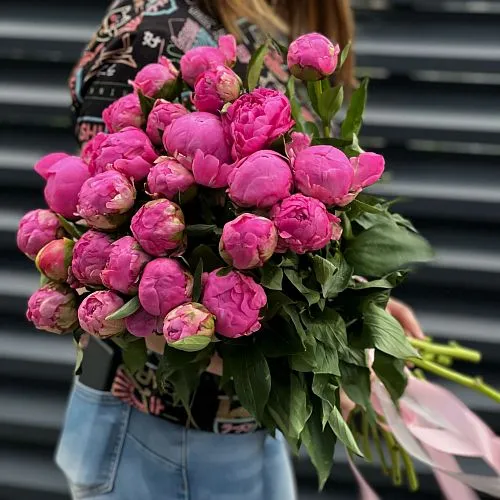 51 розовый пион