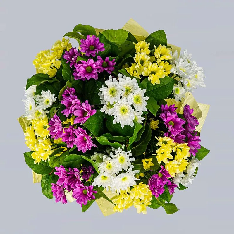 15 хризантем микс