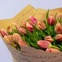49 розовых тюльпанов