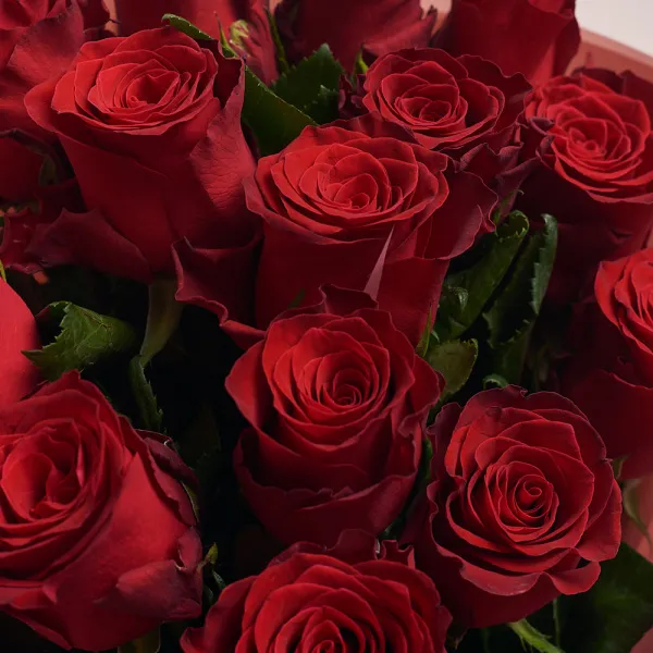 Букет из 15 гранатово-красных роз (60 см)
