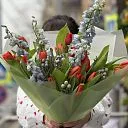 Букет из тюльпан, брунии и дельфиниума