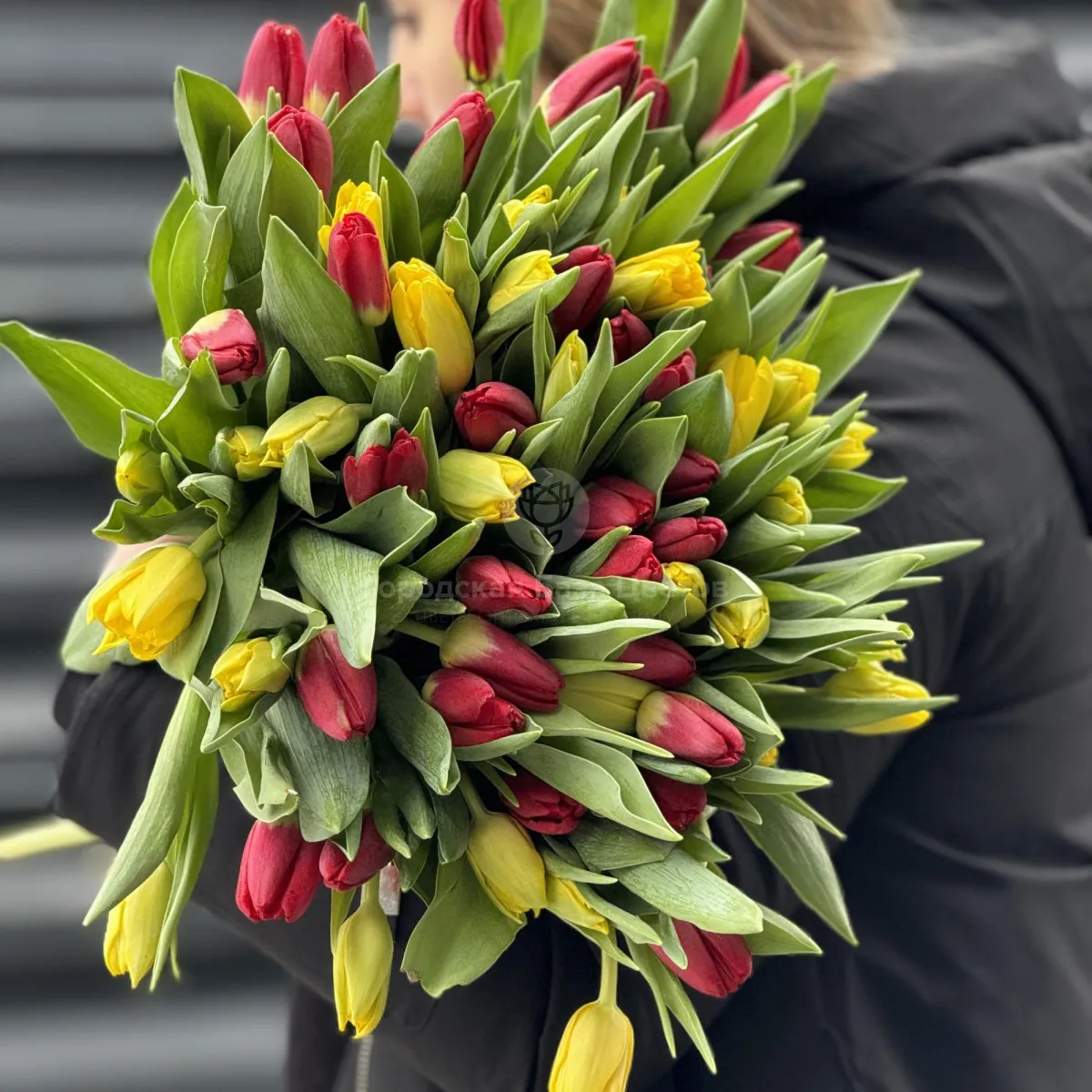 43 тюльпанов фото №1 43 тюльпанов