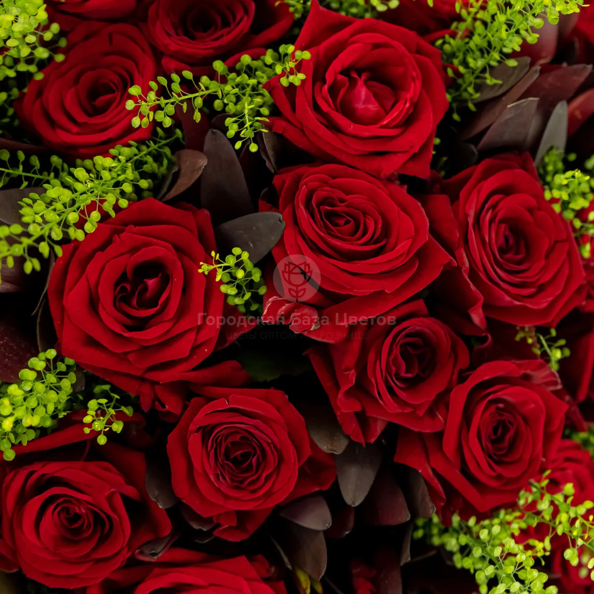 Букет из 35 красных роз (50 см)
