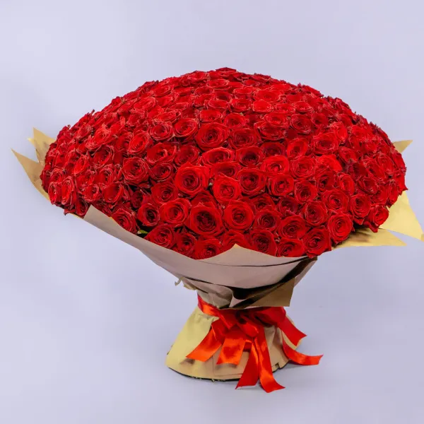 301 красная роза (60 см)
