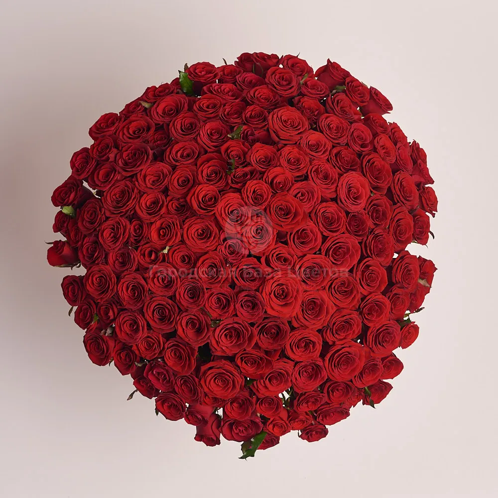 151 темно-красная роза (60 см)