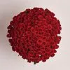 221 темно-красная роза (60 см)