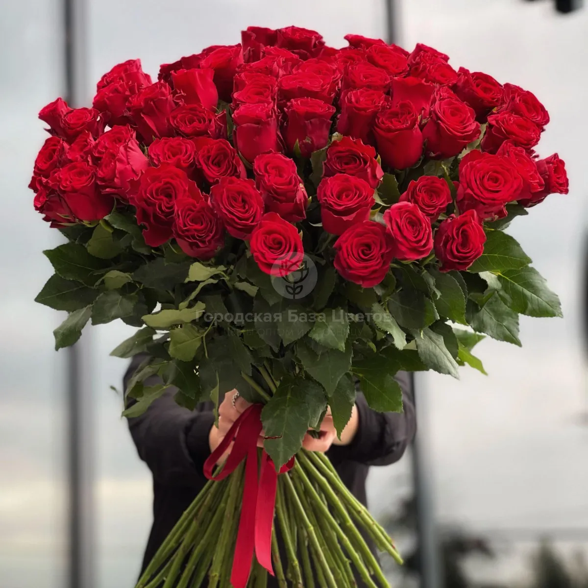 63 красных роз (70 см)