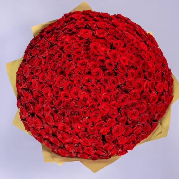 301 красная роза (60 см)
