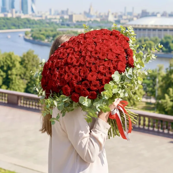Букет из 151 розы и эвкалипта