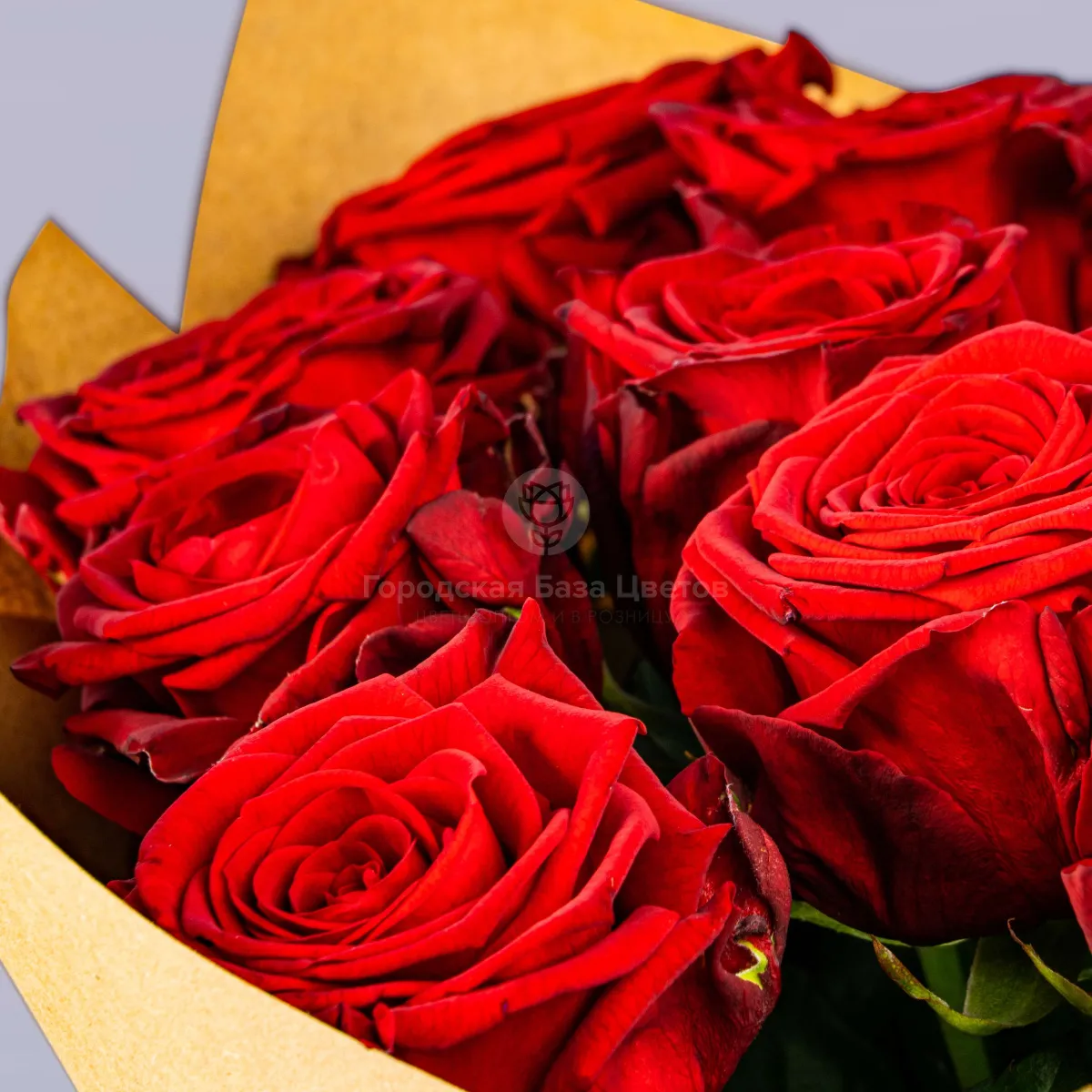41 красная роза (50 см)