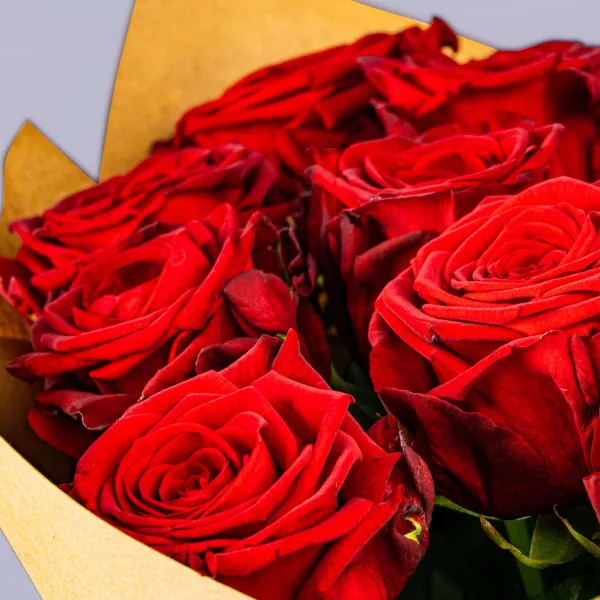 27 красных роз (50 см)