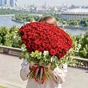 Букет из 151 розы и эвкалипта