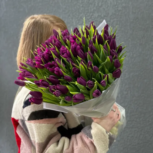 97 бордово-фиолетовых тюльпанов
