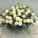 75 роз и брунии в корзине