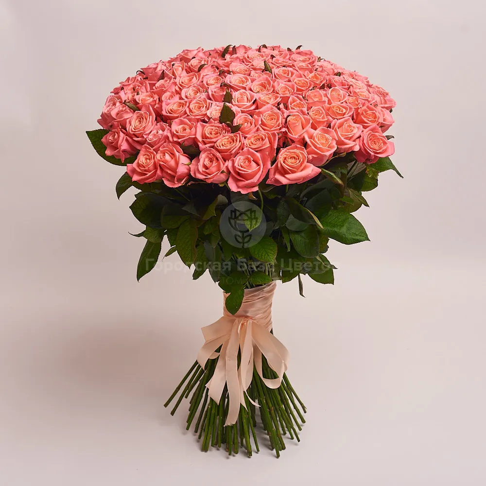 101 коралловая роза (70 см)
