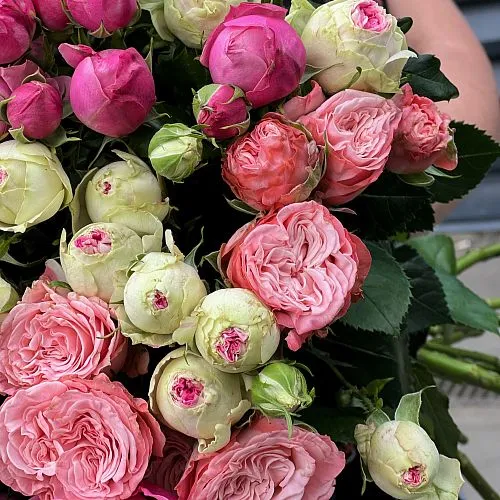15 бело-розовых кустовых роз