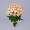 63 бело-розовые розы (70 см)