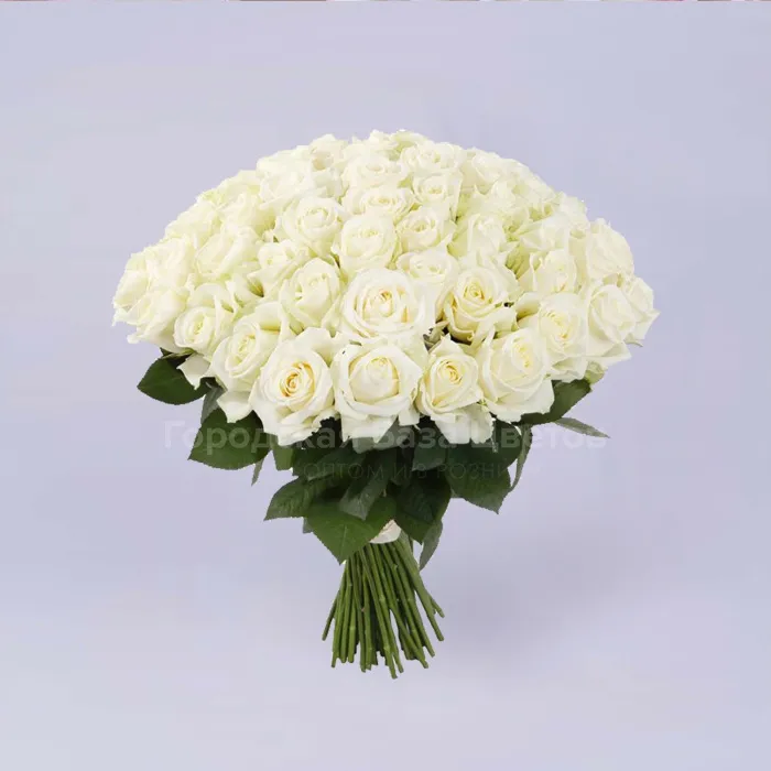 63 белые розы (50 см)