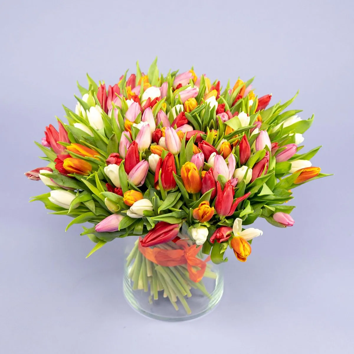 Букет из 201 светлого тюльпана миксфото №1 Букет из 201 светлого тюльпана микс