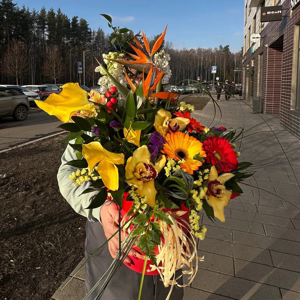 Папоротники, герберы и гиперикумы в коробке