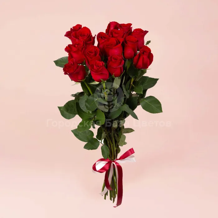 17 красных роз (70 см)
