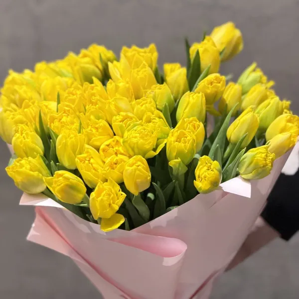 59 тюльпанов