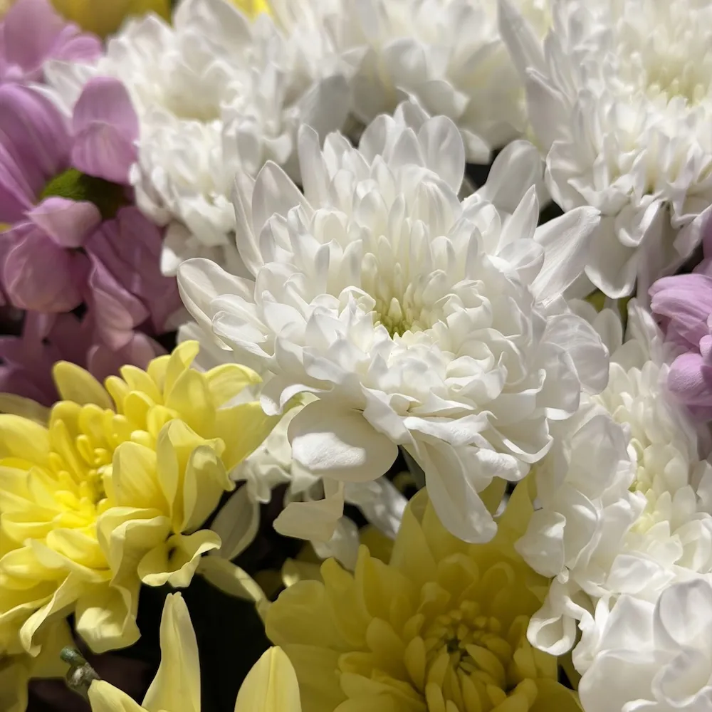 Букет из кустовых хризантем