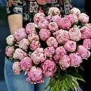 15 бело-розовых пионов
