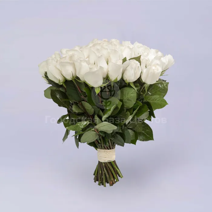 27 белых роз (35 см)