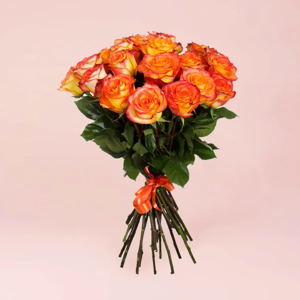 17 оранжевых роз (70 см)