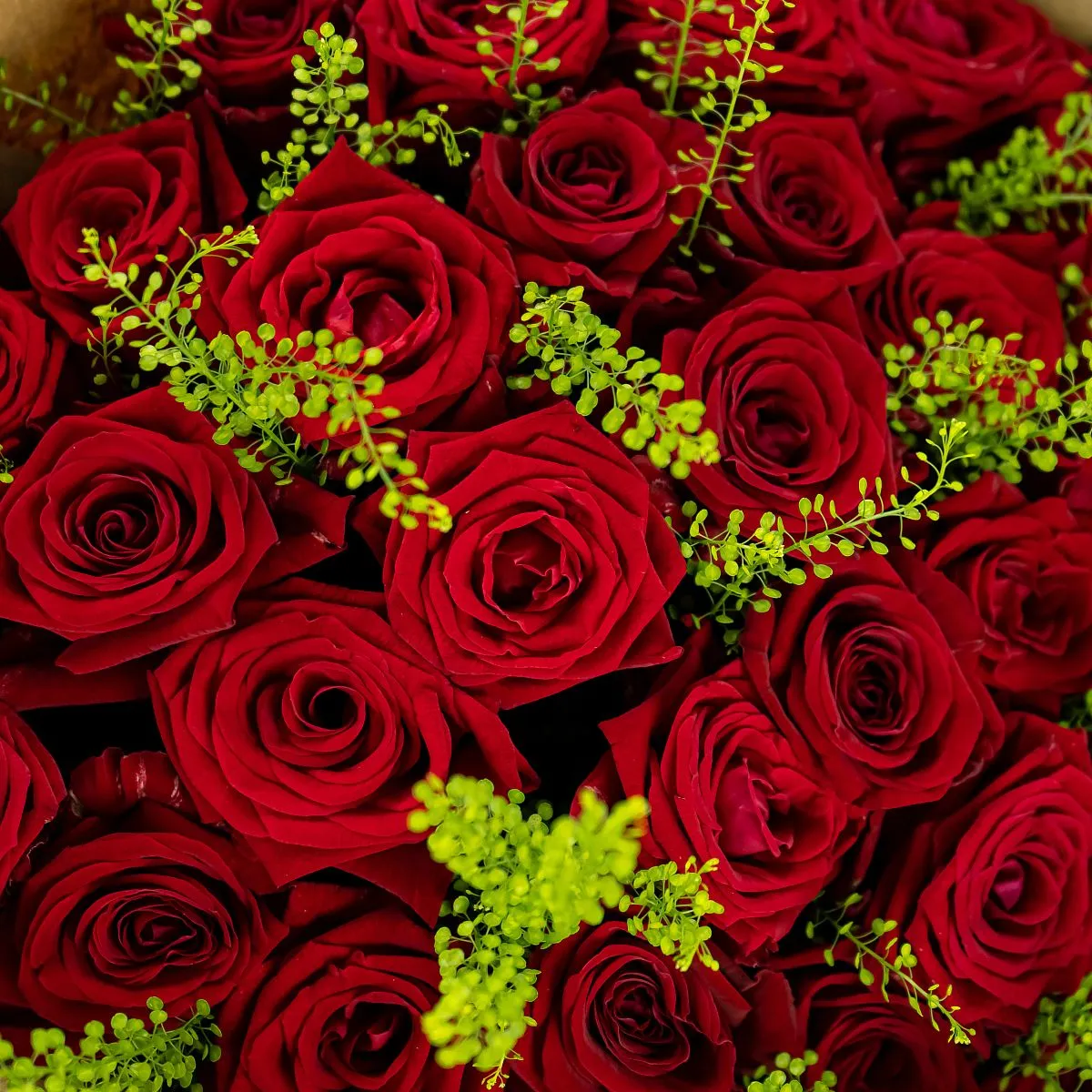 Букет из 35 бордовых роз