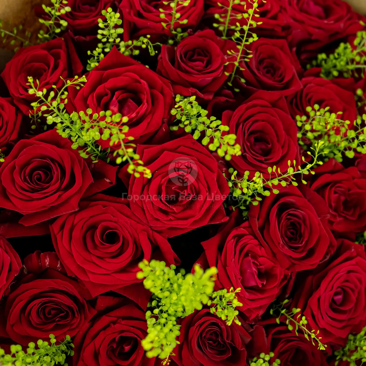 Букет из 35 бордовых роз