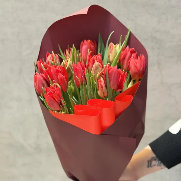 33 тюльпанов