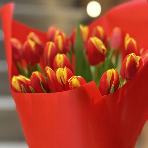 37 тюльпанов