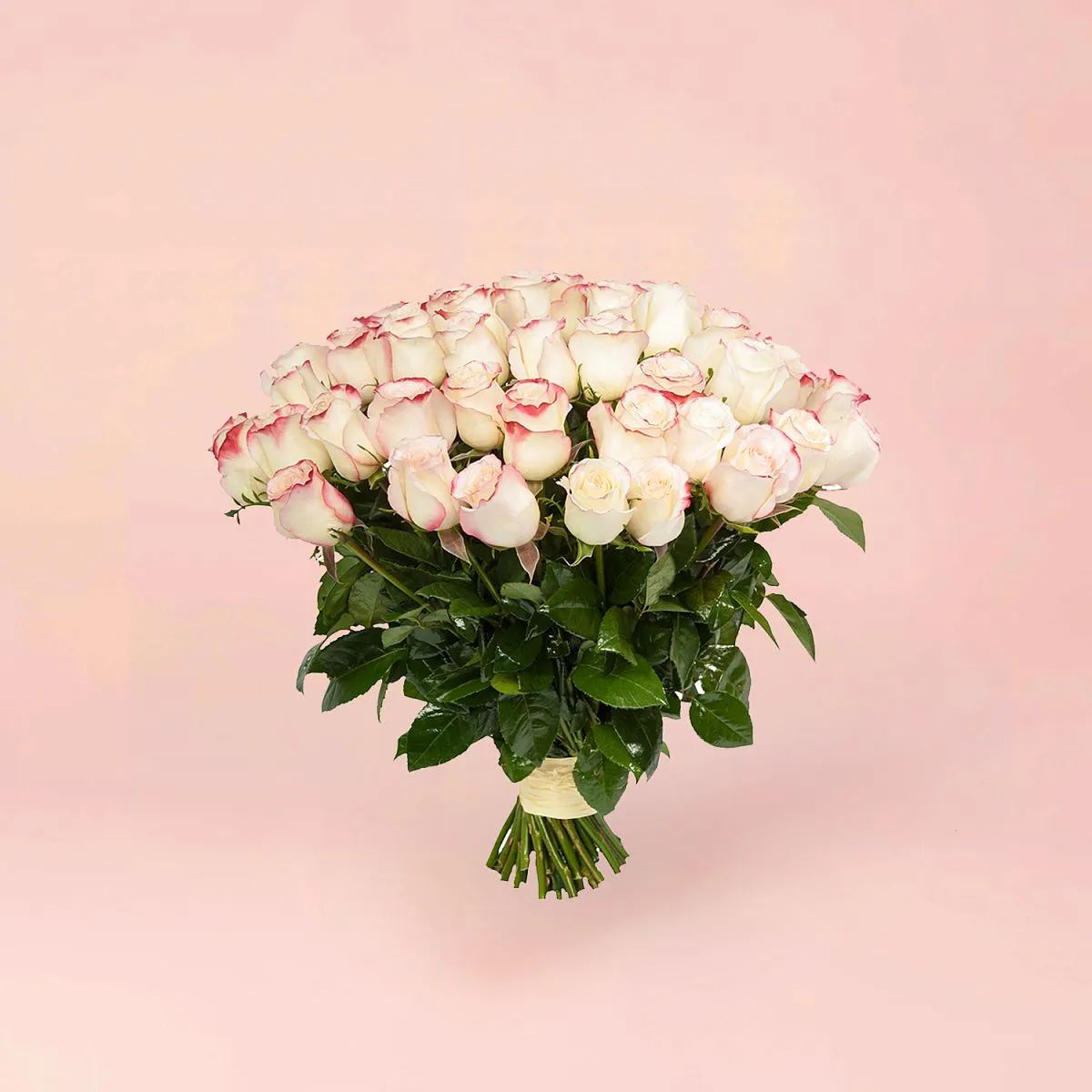 33 бело-розовые розы (35 см)