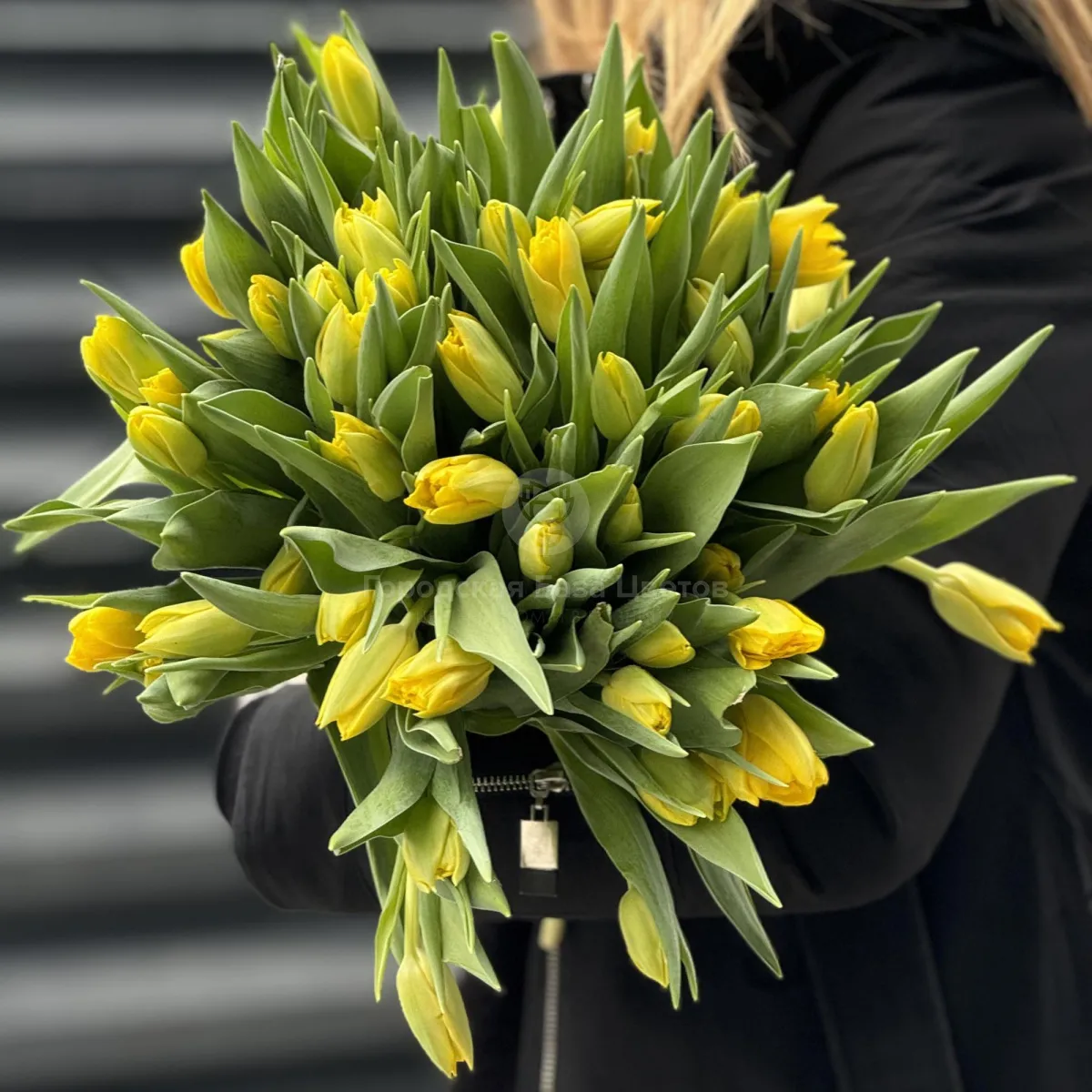 49 жёлтых тюльпанов