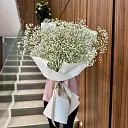 17 махровых гипсофил «Пышное облако»