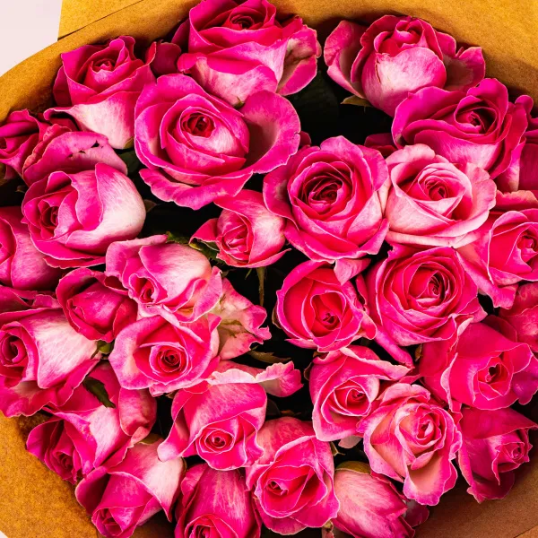 29 ярко-розовых роз (70см)