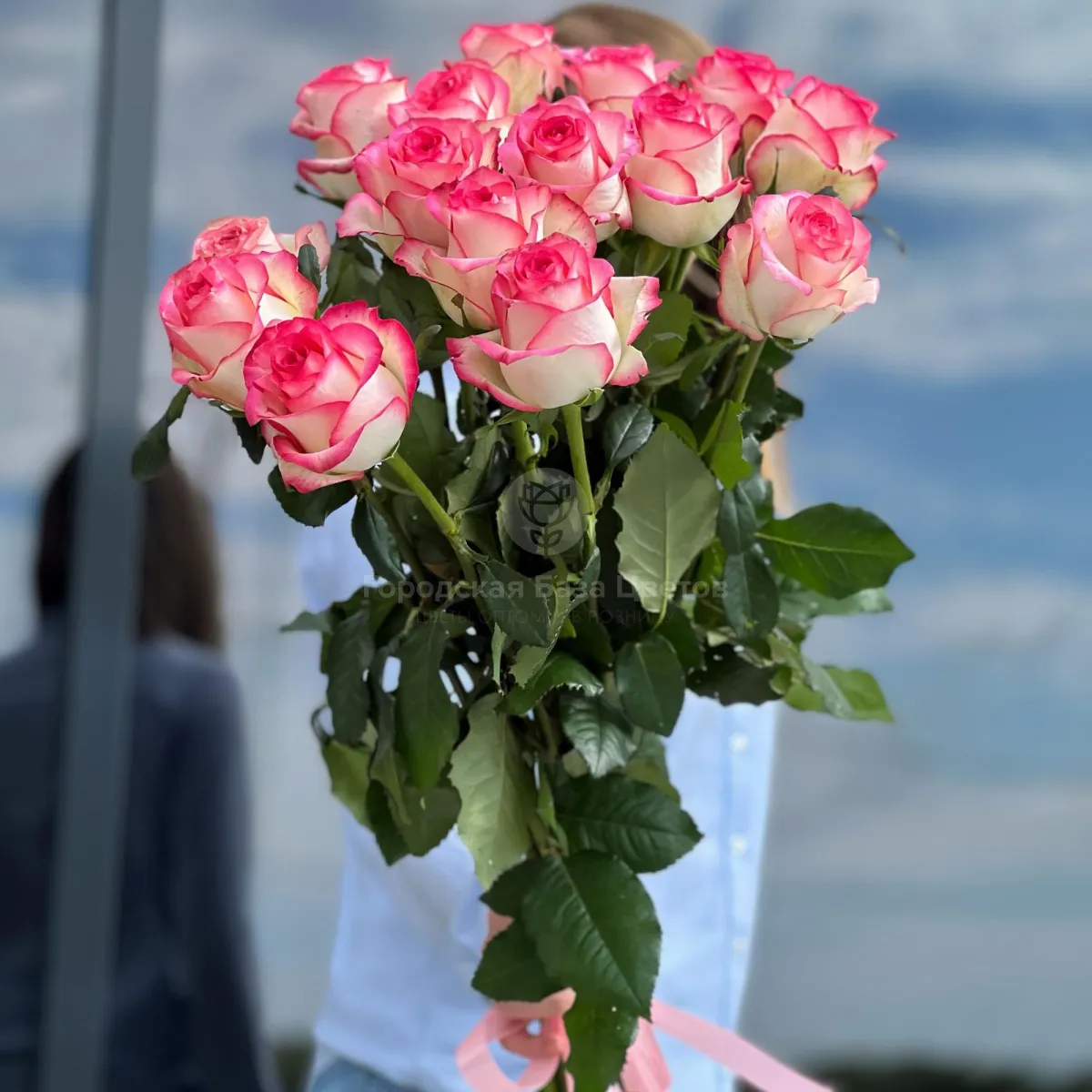 11 бело-розовых роз (70 см)