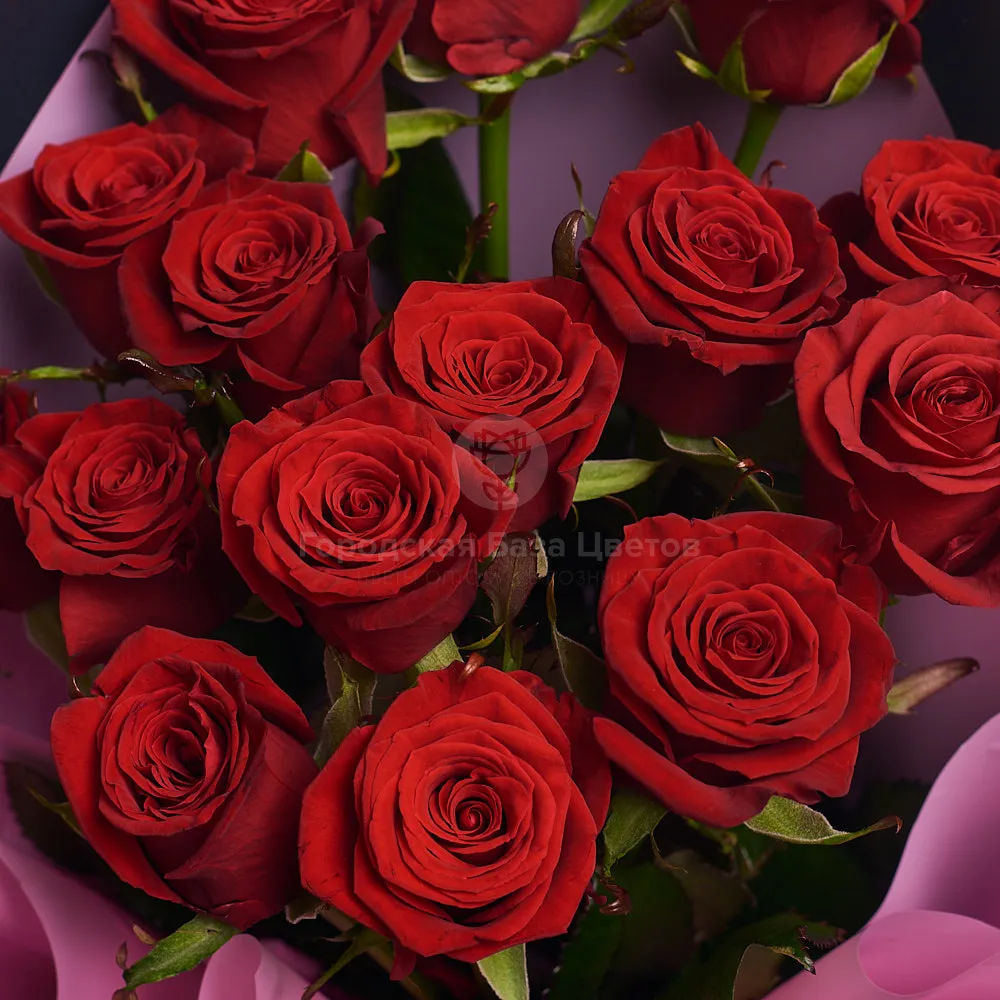 Букет из 15 темно-красных роз (60 см)