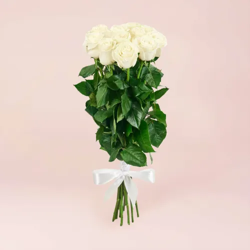 11 белых роз (70 см)