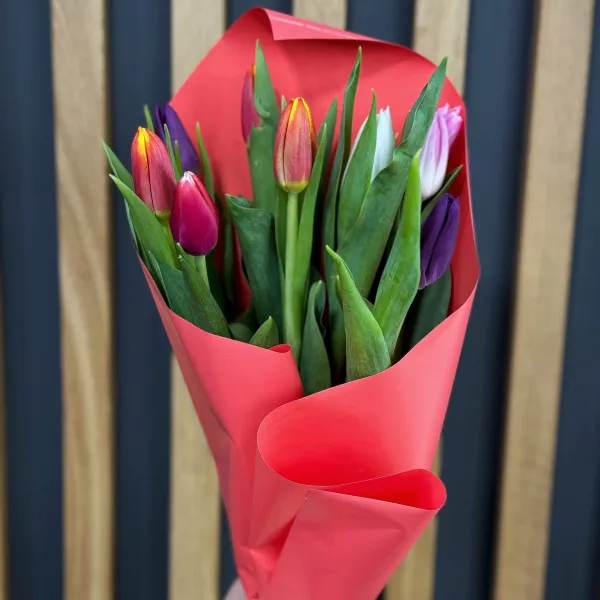 9 тюльпанов (5 букетов) фото №2 9 тюльпанов (5 букетов)